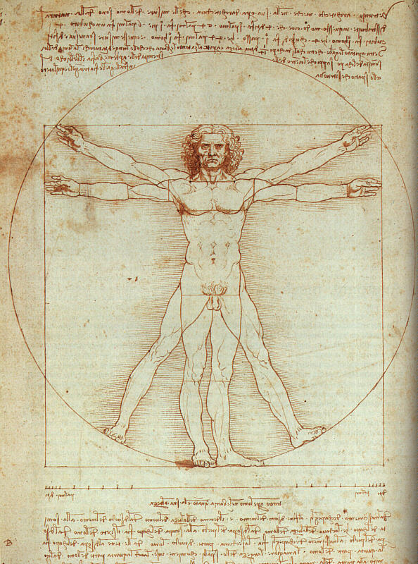 Vitruvian man